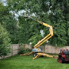 Best Lawn Maintenance Plans  in Longview, TX