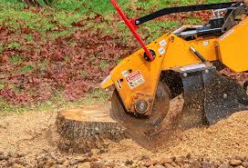 Best Lawn Grading and Leveling  in Longview, TX