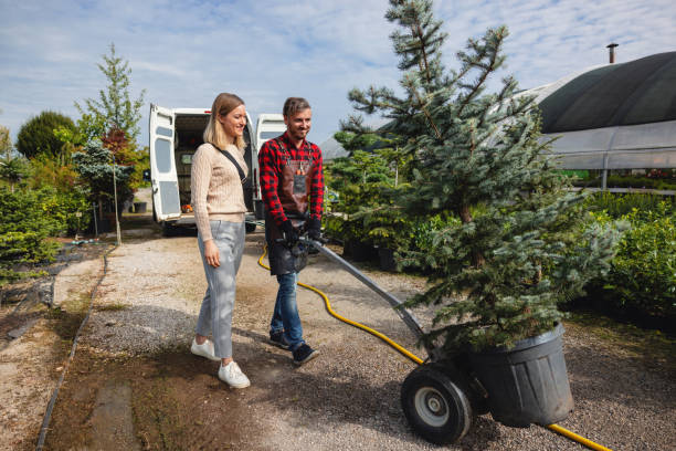 Best Arborist Consultation Services  in Longview, TX